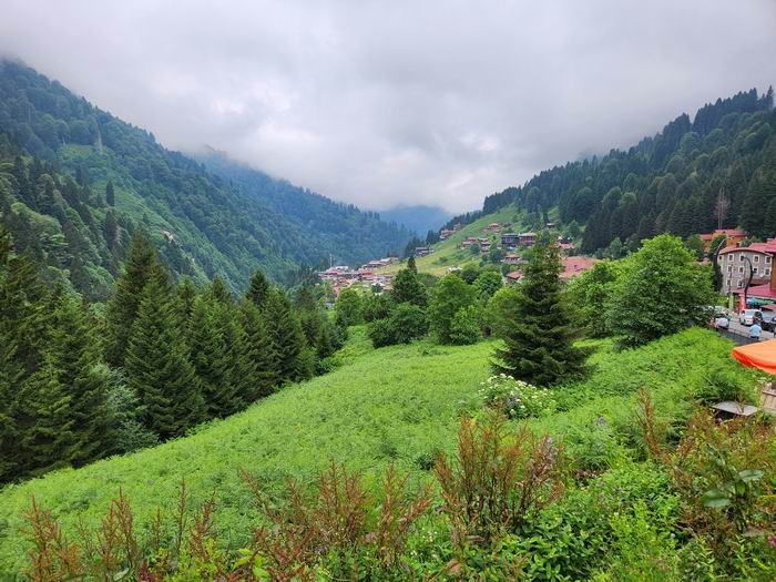 AYDER