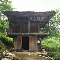 Rize fotoğrafı